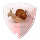 VPN Over DNS Tunnel : SlowDNS