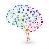 NeuroNation – Brain Training & Brain Games